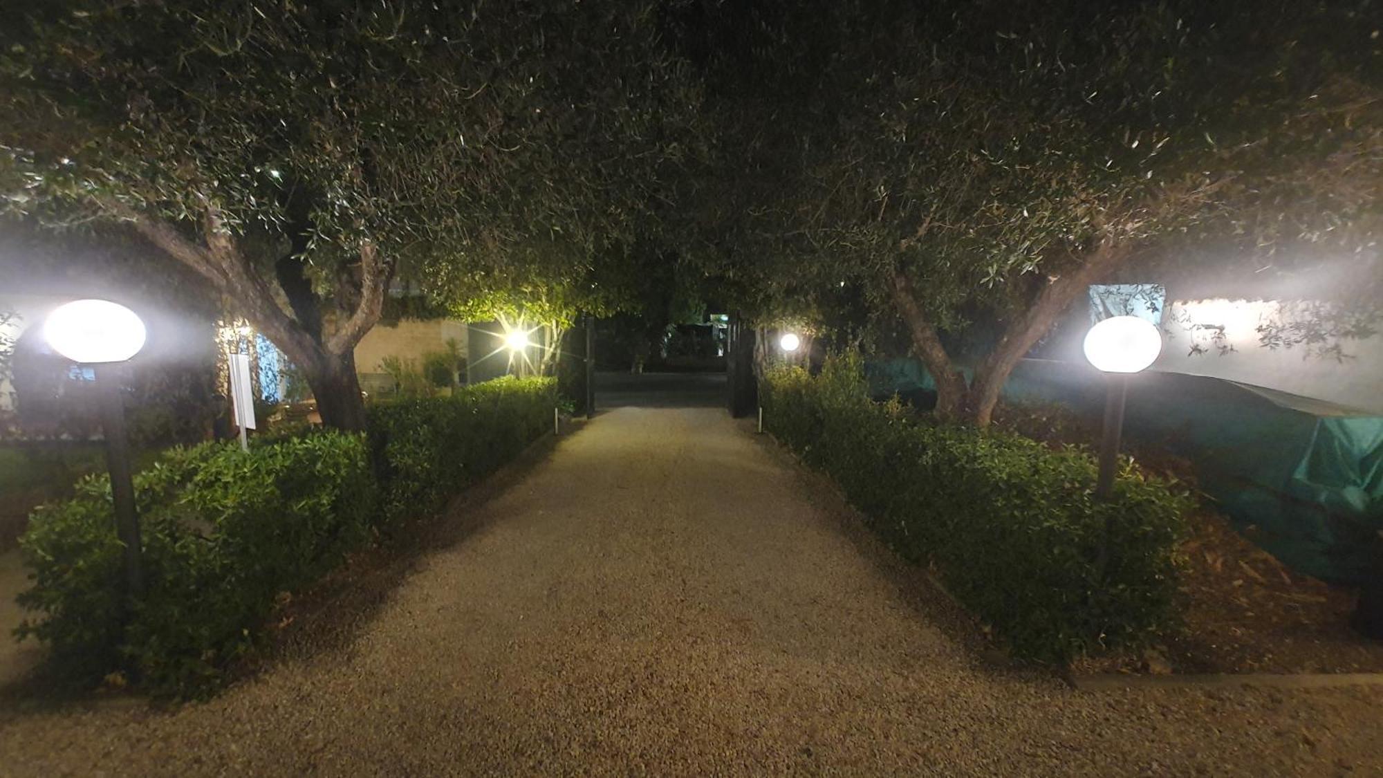 Lilli Urban Garden - Private Garden And Reserved Free Parking In Detached House Surrounded By The Greenery Of Appartamento *